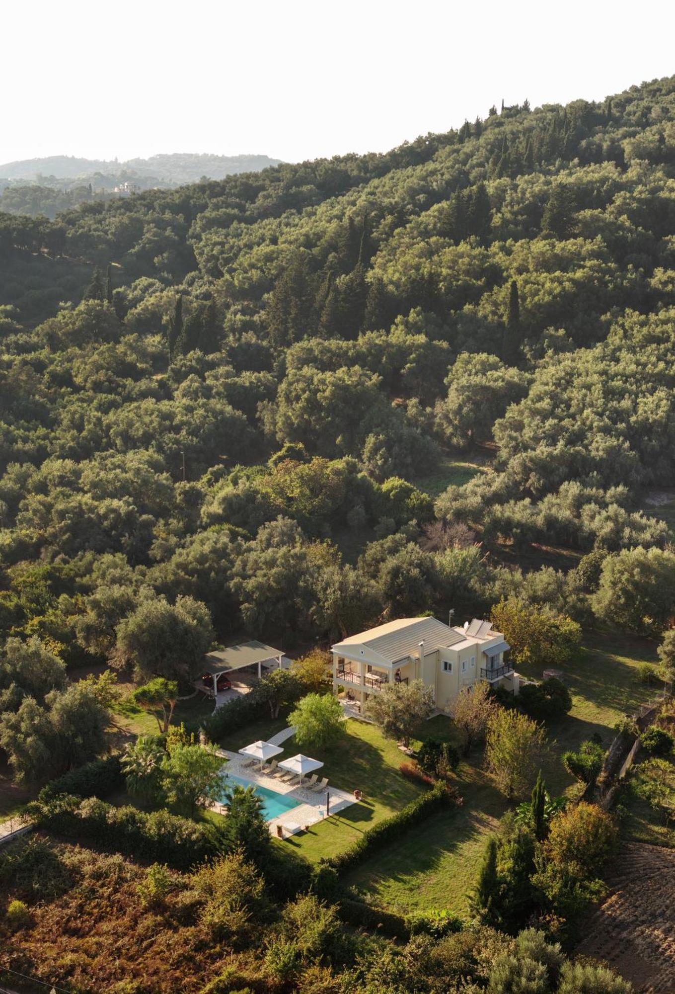 Villa Stefania Agios Georgios Pagon Exterior photo